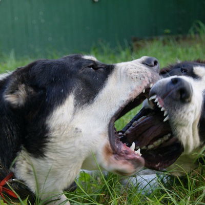 Владислав Медведев