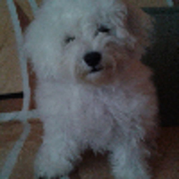 Ольга Шульгина