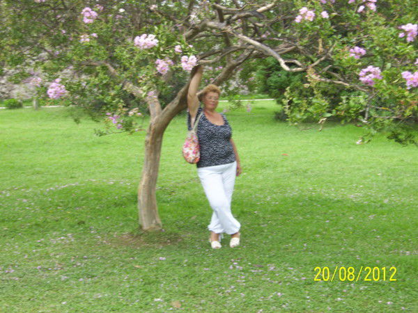 Светлана Орлова