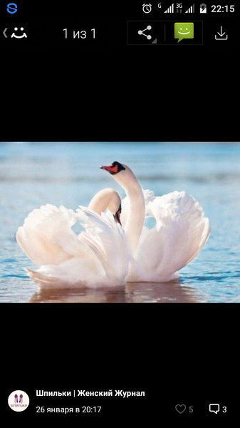 Светлана Патеева