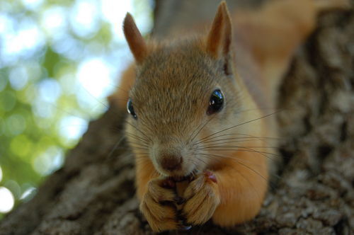 Жанна Ярощук