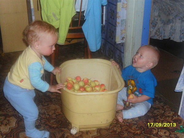 Марина Андреева