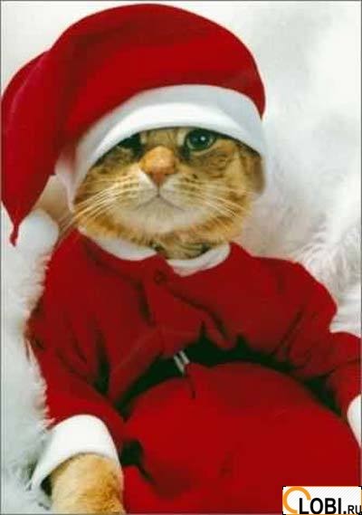 Мистер Твистер