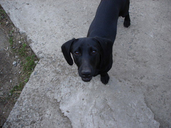 Сергей Подфатченко