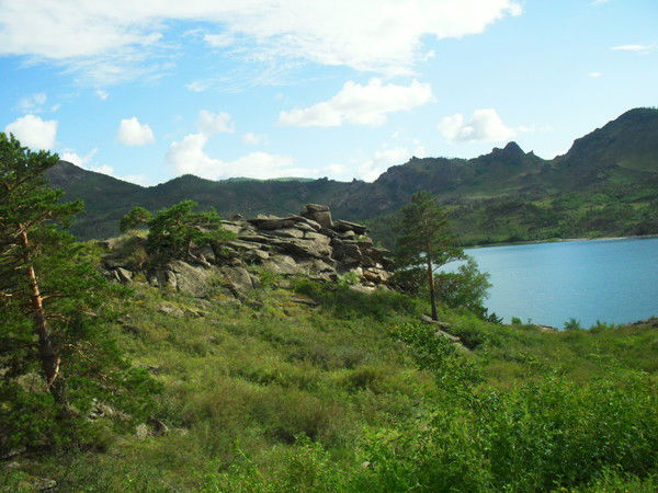 Радий Пальмов