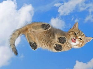 Оксана Арионова