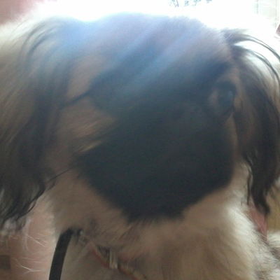 Юля Таможникова