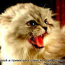 Надежда Барыкина