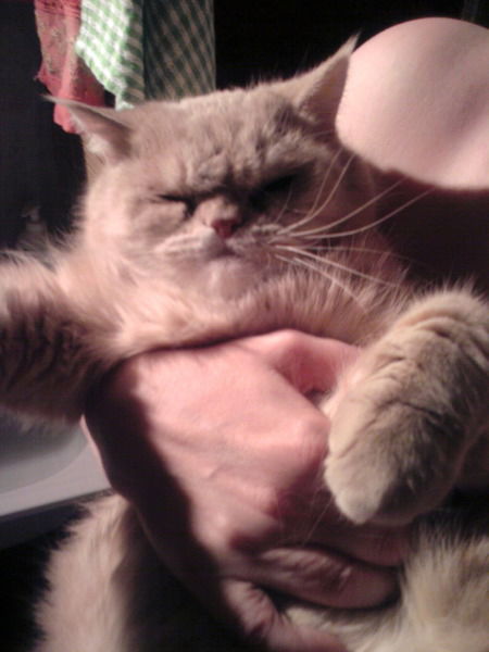 Лариса Семенова