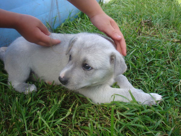 Оксана Ксюша