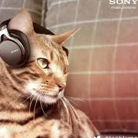 Мархабаев Рамзес