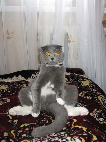 Лариса Бычкова