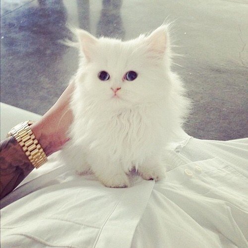 Ольга Новоженцева