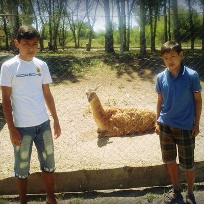 Даниар Калиев