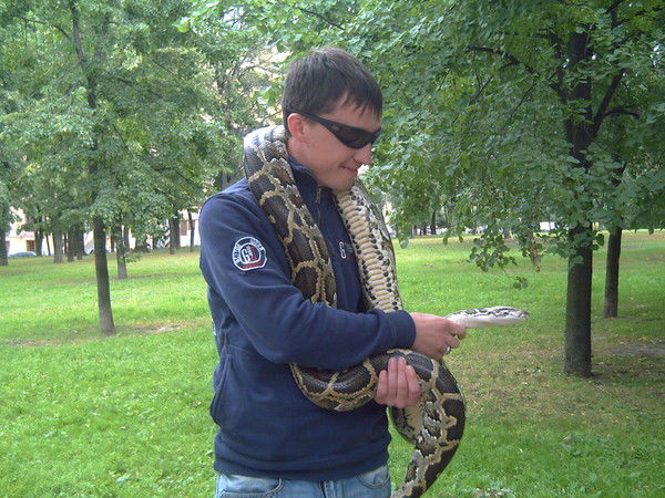 Евгений Тимофеев