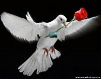 Дмитрий Услонцев