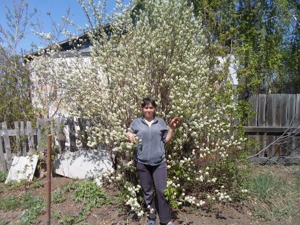 Александра Зубкова