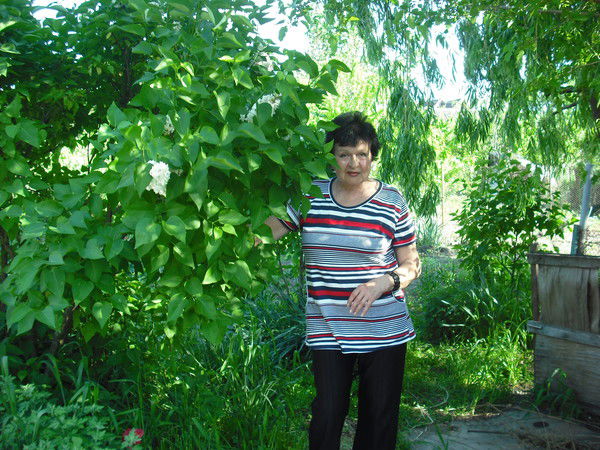 Антонина Соколянская