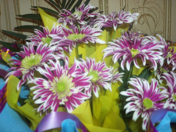 Метод Кабинет Отдел Образования