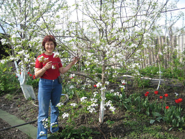 Кацанова Алла