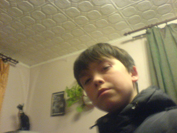 Илья Цибалев