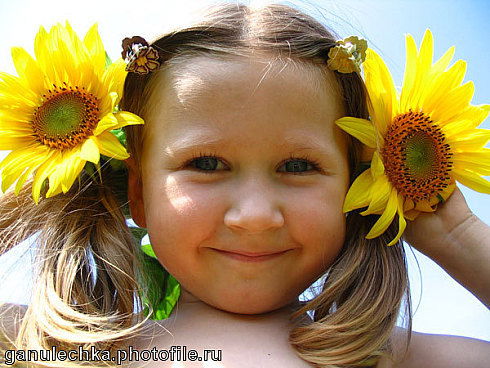 Офис Шимановск