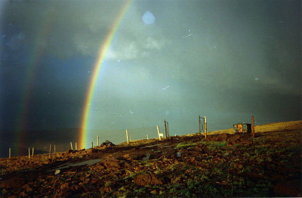 Андрей Русских