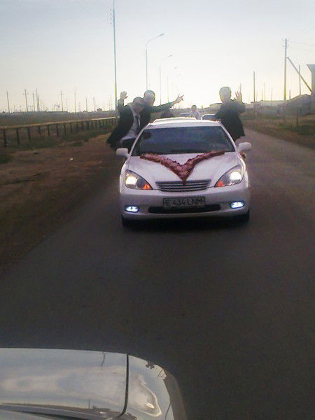 Без Название