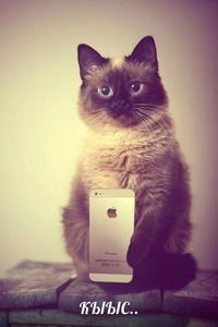 Артём Стёпочкин