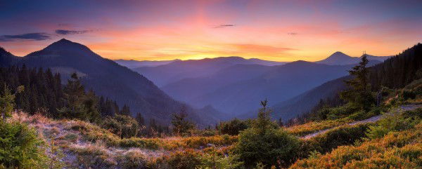 Роберт Галляммов