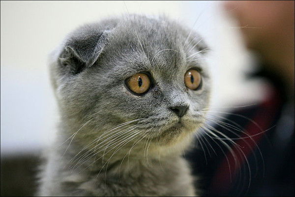 Анна Журавлева