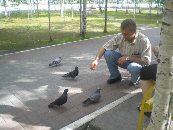 Андрей Стародубцев