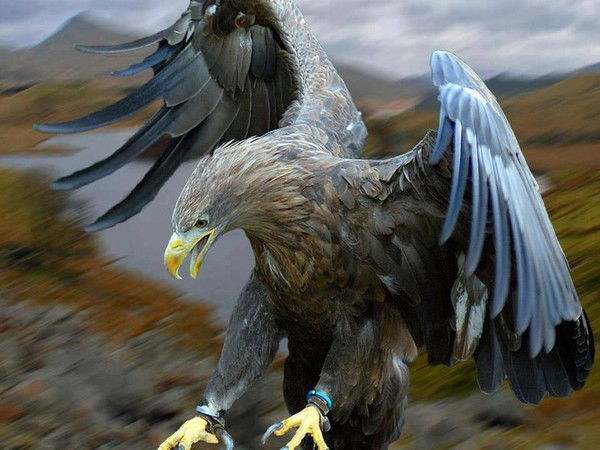 Кайрат Аблазимов