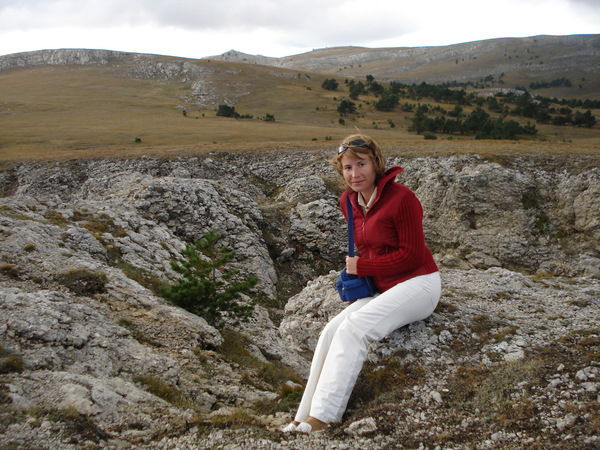 Елена Соркина