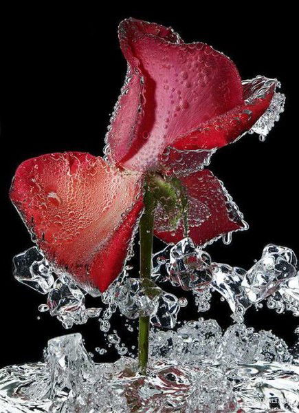 Мария Никифорова