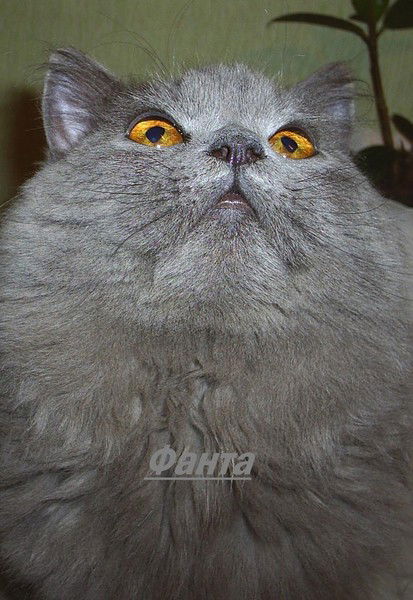 Severo-Zapad Луны