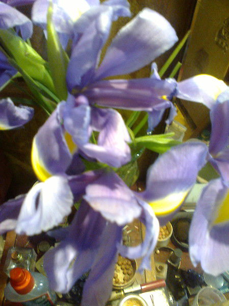 Лариса Харитонова