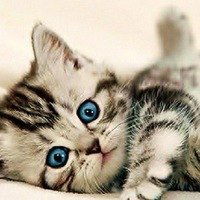 Дамир Жунуспеков