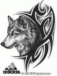 Данил Назарав