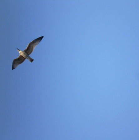 Александра Вагунина