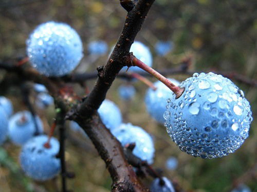Андрей Омбышев