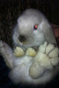 Алёша Спицын