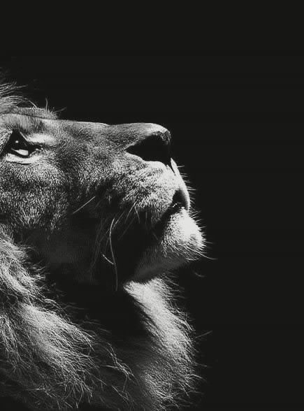 Аслан Мусин