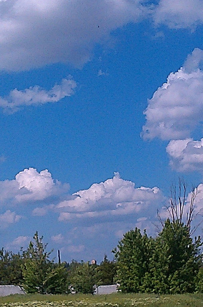 Ксюха Павлюкова