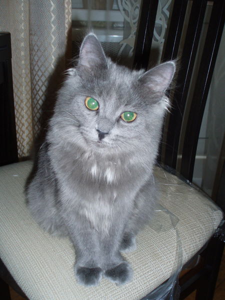 Oльга Константинова