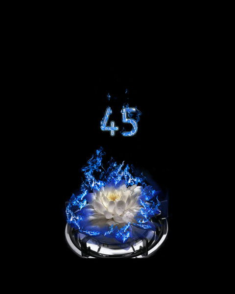 Анна Селибакина