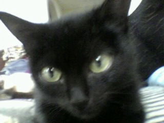 Галина Пурисова