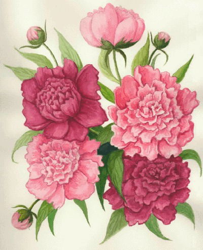 Ася Есенова