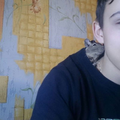 Василий Остапчук