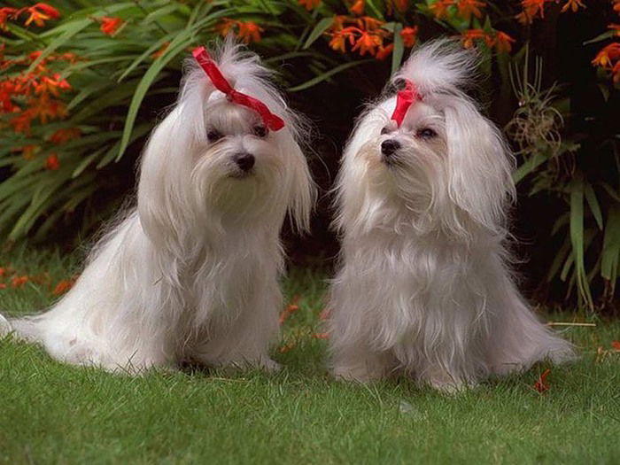 Татьяна Мурашкевич